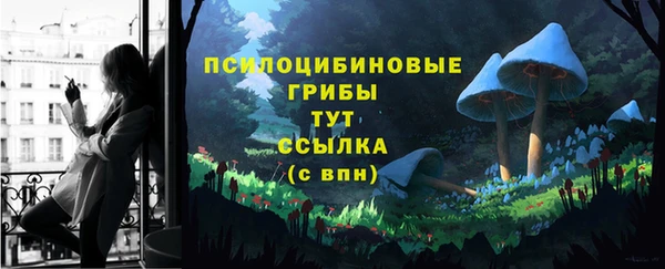 первитин Арсеньев